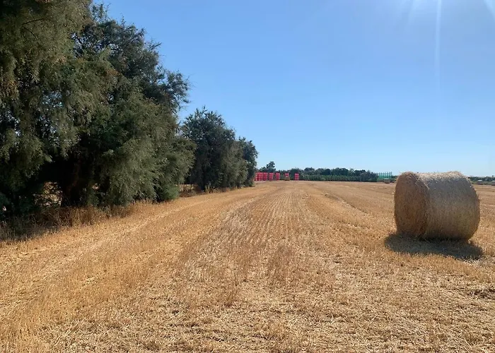 Rucall Piscina Compartida Vilamacolum